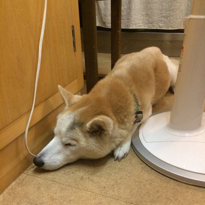 6bc51bd7 b74a 46fb a4e2 aaf9b8e37c1d 1562149177823