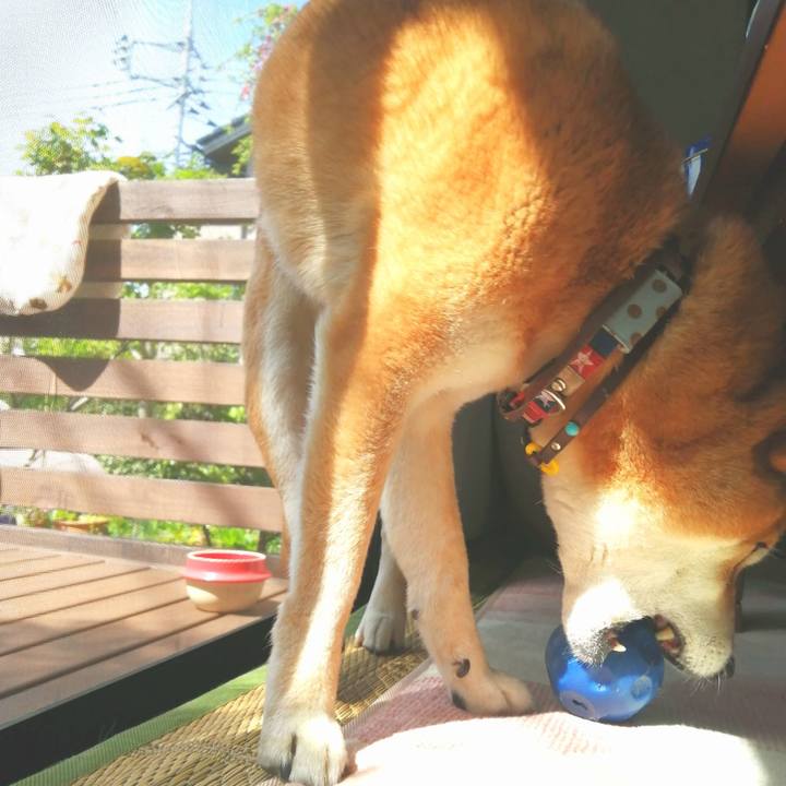 6bc54ab3 0907 4058 878b b5c5c4b2dcce 1650333739993