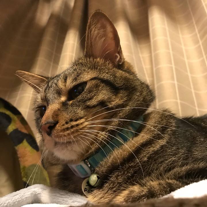 6bc559bf b5ea 4d16 9826 6c87709b234b 1540558442597