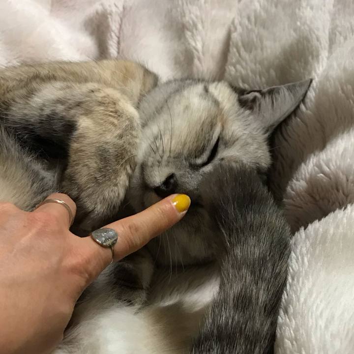 6bc55c8d d0c4 439b 96b9 6f070384474e 1585575925014