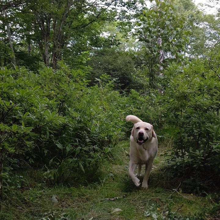 6bc5b498 03fe 496a a477 29d4233fb68f 1660823689175