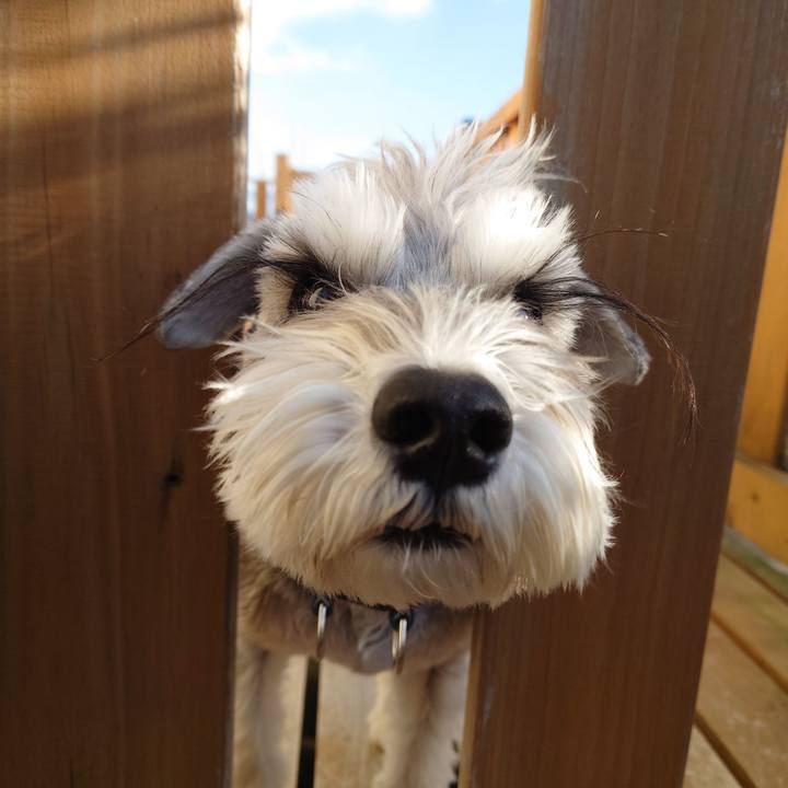 6bc5ba54 fc60 44d3 81da b1362dfc4045 1767483906551