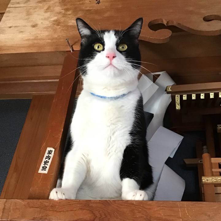 6bc5d524 a6cc 401e 955d 8fb1d51ef8dc 1674642840447