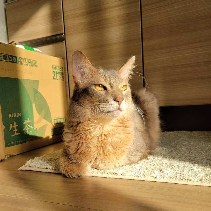 6bc62eae 0eab 4117 a2dc 86583b0b5ca1 1674546961689