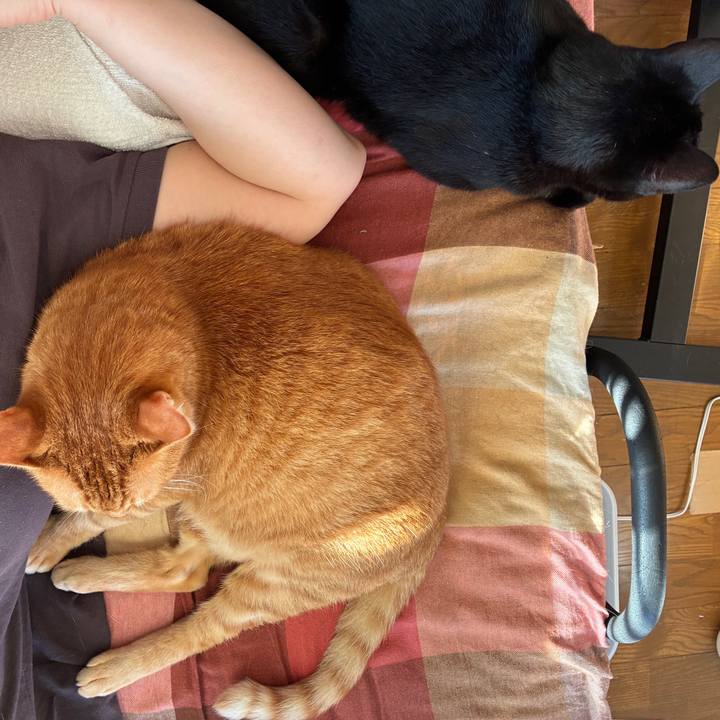 6bc63601 f72e 448a a730 ac1c0d54f07b 1753218028788