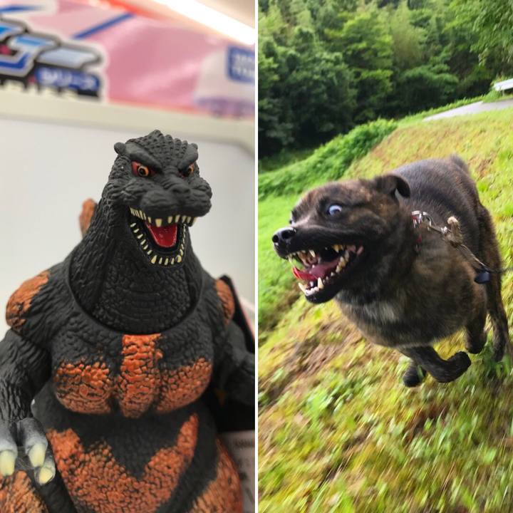 6bc63aa4 4eb2 45fd 9dec 00c80ef1b226 1548119990088