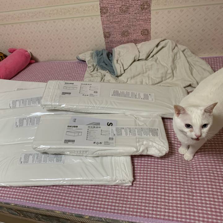 6bc63cd7 7ee2 4ed7 9e14 e72af307fcb9 1630765386618