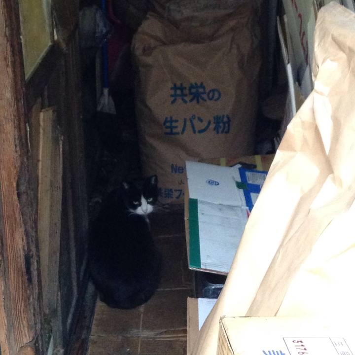 6bc65bff 7d55 4d03 8822 d326fb31ffd2 1511002146350