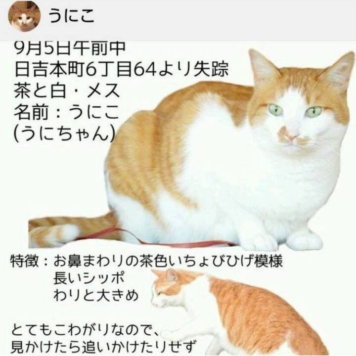 6bc65df0 245c 489b 9d9c 6c455acc1eb1 1536571562426