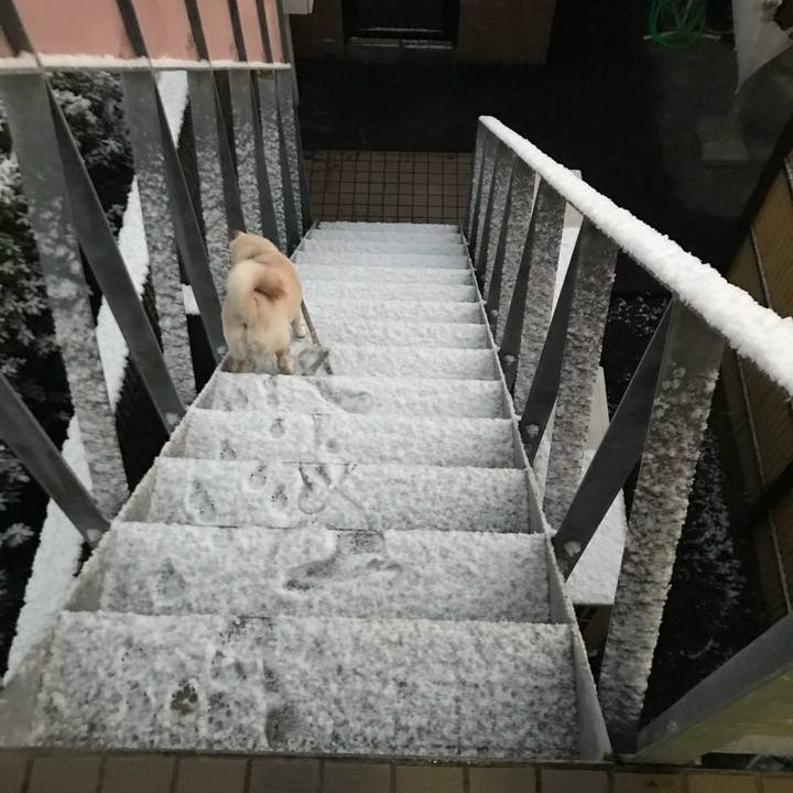 6bc66f40 2371 4933 a7d5 9e1cc66de7c8 1671746699984