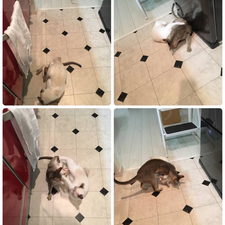 6bc68991 f991 4f16 9425 f26671c65ded 1511026014674