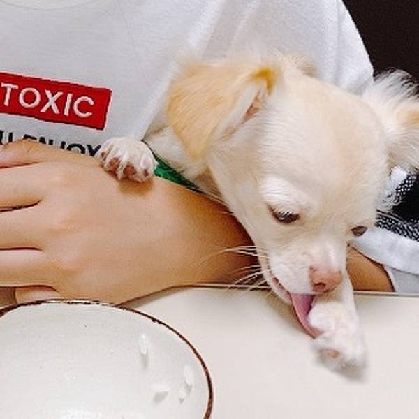 6bc68c54 76b7 4a18 a317 fd2a3892816a 1599297246672