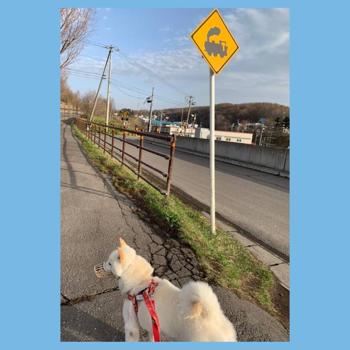 6bc6ab9d 05b7 4d79 80fa 3fd8e45ae9d6 1556110433597