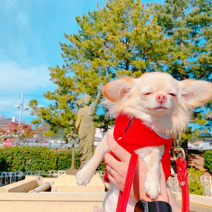 6bc6deda 6942 4dc8 a5f7 891a3944dbb3 1641554425380