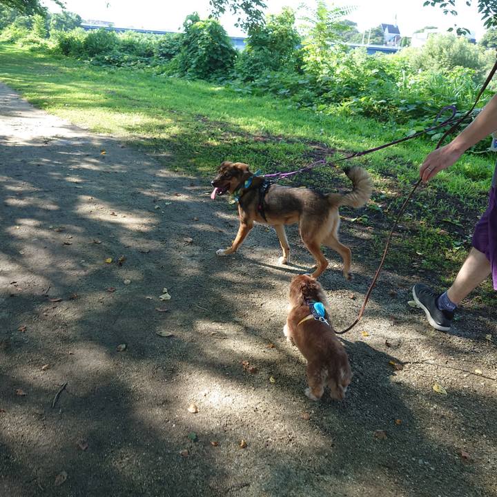 6bc6e809 2f7a 4dba aefe 4053da7dbdf6 1689464913717