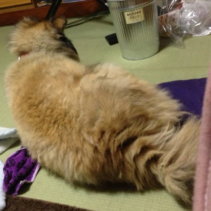 6bc6eb6e ca75 436a aaef 8bb417a86965 1576652702668