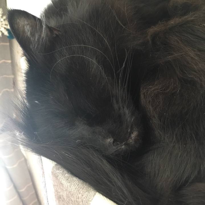 6bc6ec17 f0f5 4182 82dd 7a519aa244fa 1555468141998