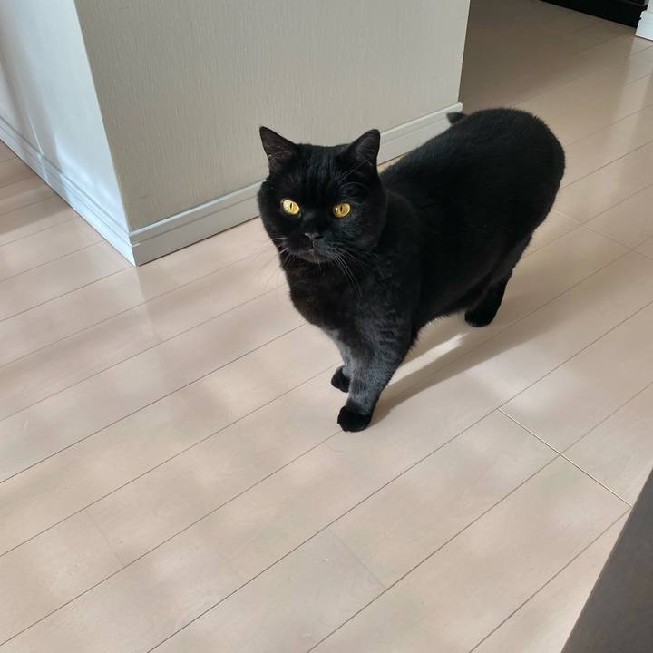 6bc6fc46 5bc1 4e87 9adf 725c03173bdb 1710480307373