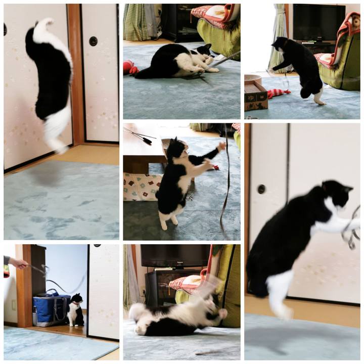 6bc7055f 4469 4b76 b079 6d35bcdceb2e 1644379961683