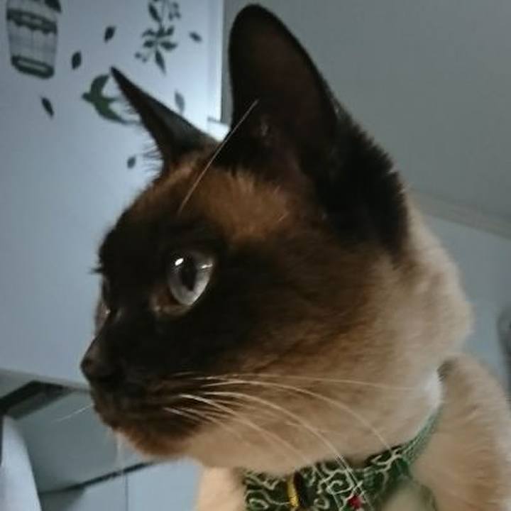 6bc70b39 fbb4 4e25 94da f7d23fffac9b 1518098924067