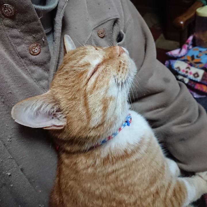 6bc71180 06b6 4a5c aec0 51f6f26a2920 1576615391913