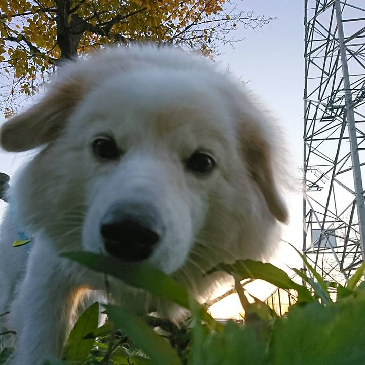 6bc7269f d314 4896 b3a2 8978b9b2a332 1510262602496