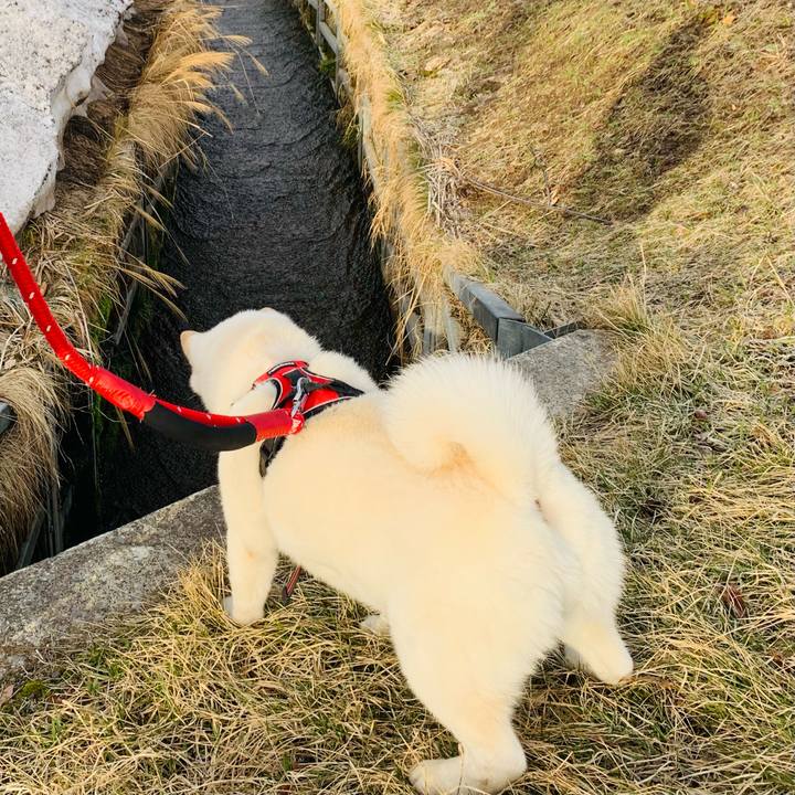 6bc76493 b302 4e30 abb0 96a7002370e2 1679701892514