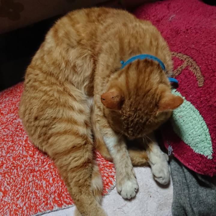 6bc7d0ec 7ff0 4cfb a475 d91b1bc6eb89 1555589329586