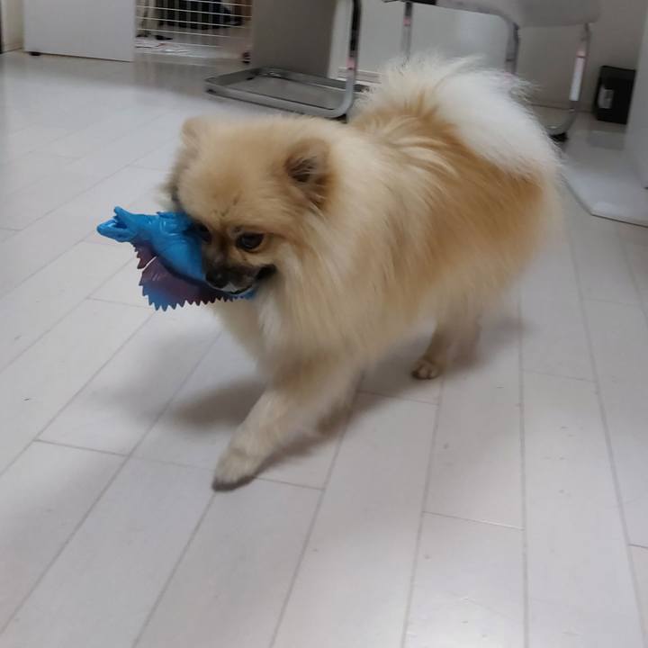 6bc7ea6c cdcd 4f27 8e78 7c0175f1083d 1664682811268