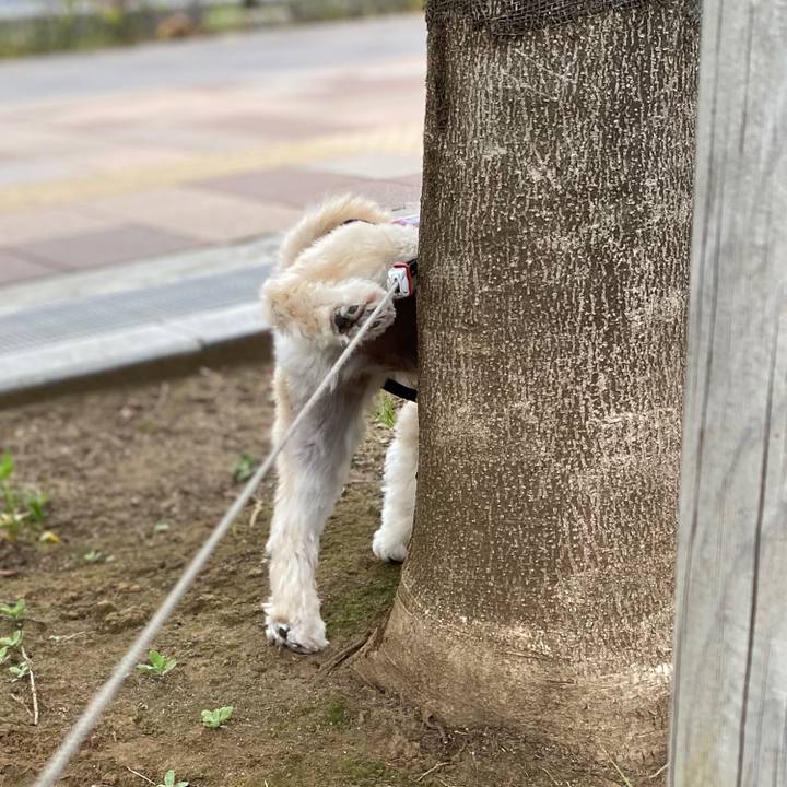 6bc81cda df7a 4208 aa96 206804fb91d0 1569656429875