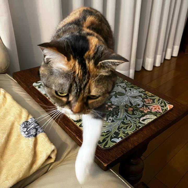 6bc84de9 a073 4f07 a327 12904d8bed3e 1777090140429