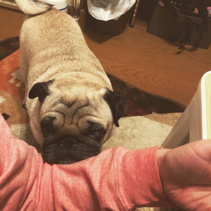 6bc8558f cf35 4ba8 b5fe 6ea3fda952ab 1521595829484