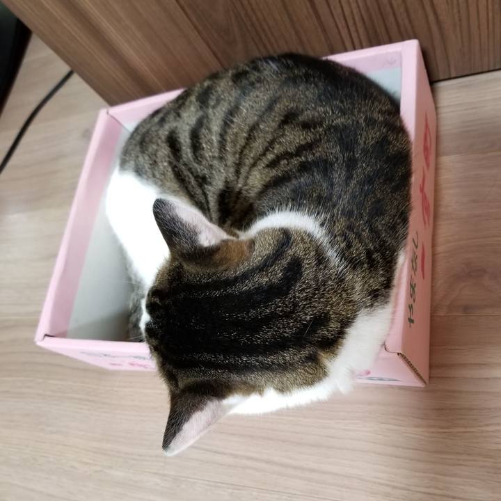 6bc86b18 ca49 474f 87a5 49ab0ac9d533 1601415683670