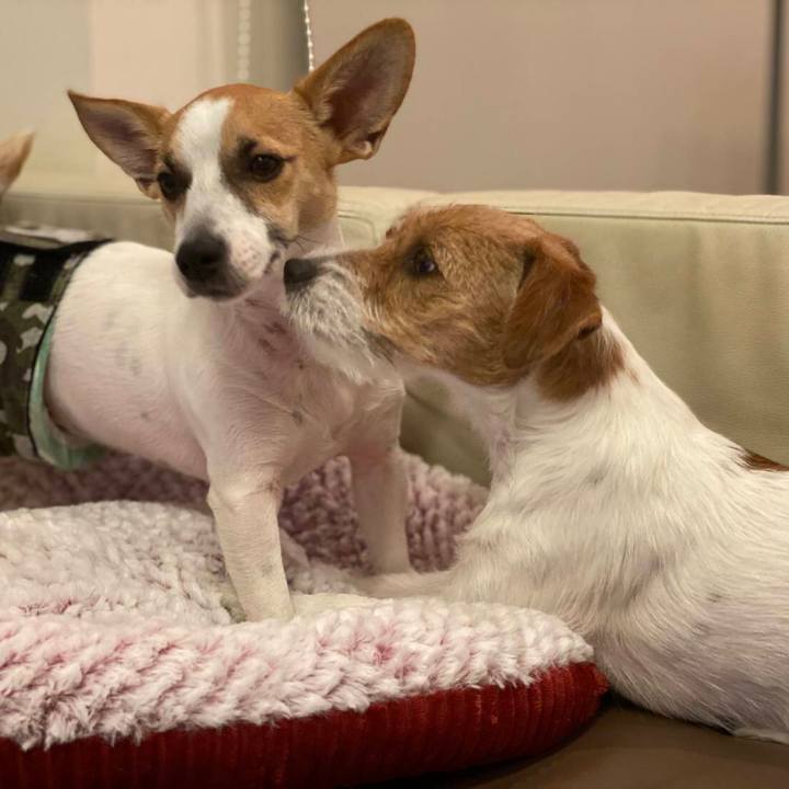 6bc88609 15b7 496d b923 5e0fc2f3bafe 1577751620300