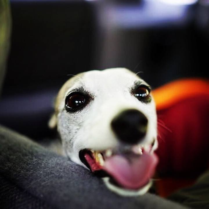 6bc8ad76 0f70 4925 a70d ab490d74ccf4 1528800277695