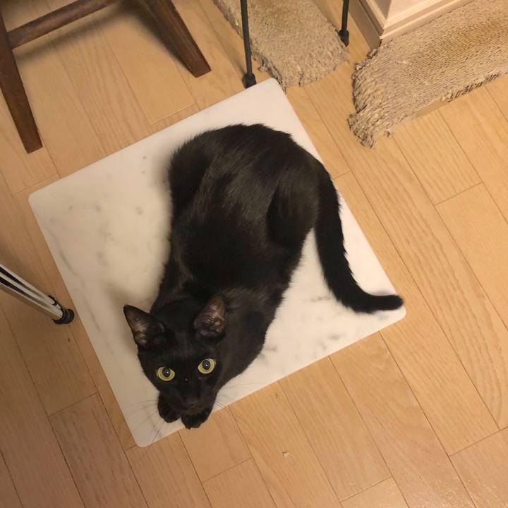 6bc8f219 ac46 45b4 aff1 c8762998db42 1565704029412