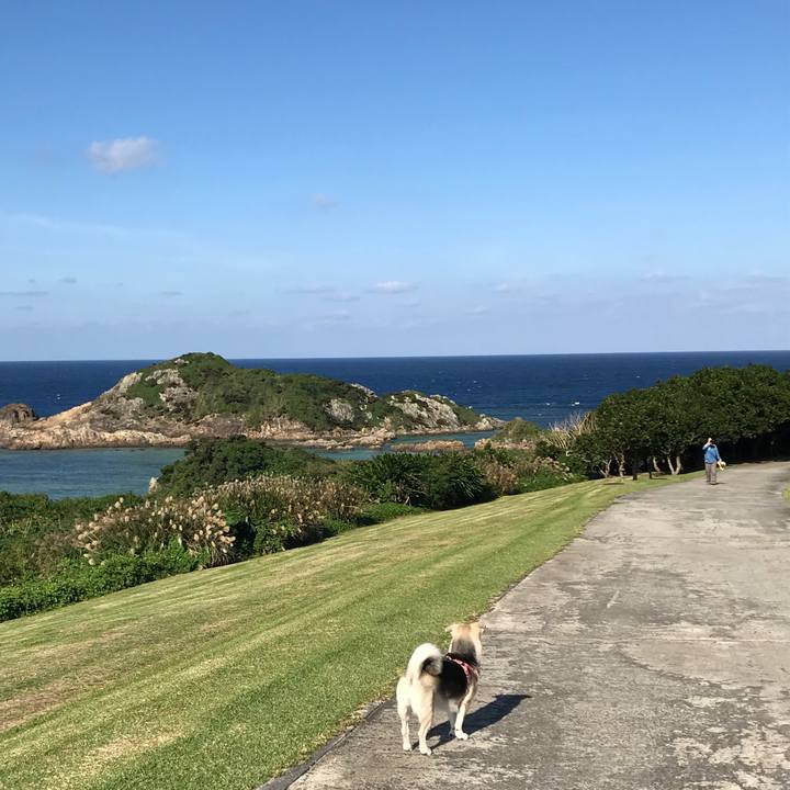 6bc91a51 f245 468b 9815 4e3d528d8249 1513323871362