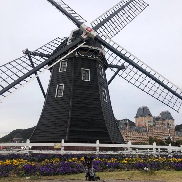 6bc92275 dde0 45ee 903f b474da454f86 1544485170631