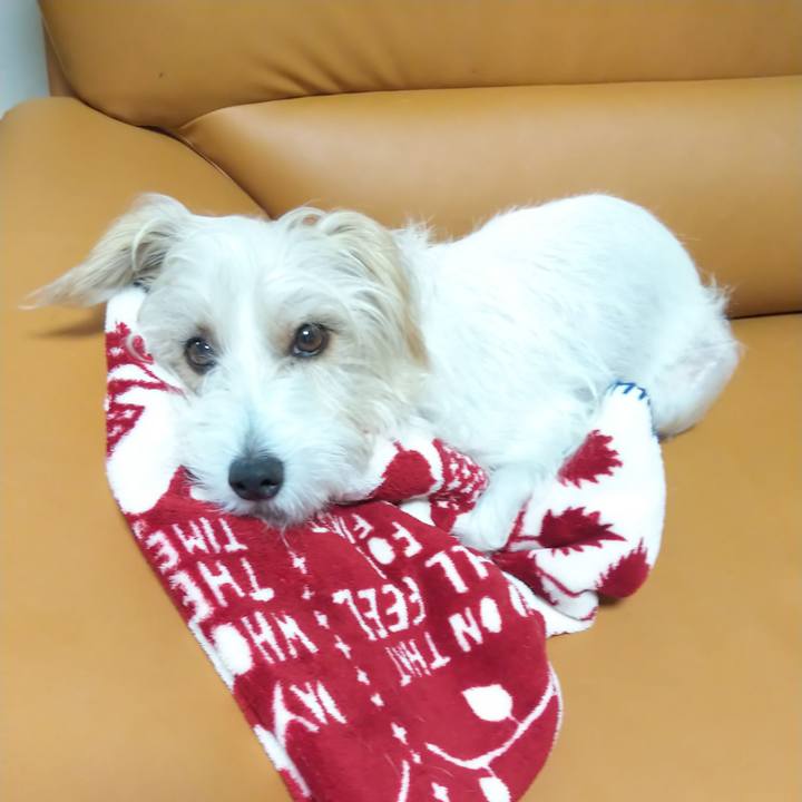 6bc93e07 fb34 46fd acc8 cf559f77f025 1573045141479