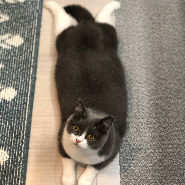 6bc962b3 de7c 4284 b854 032bcd438471 1567504996369