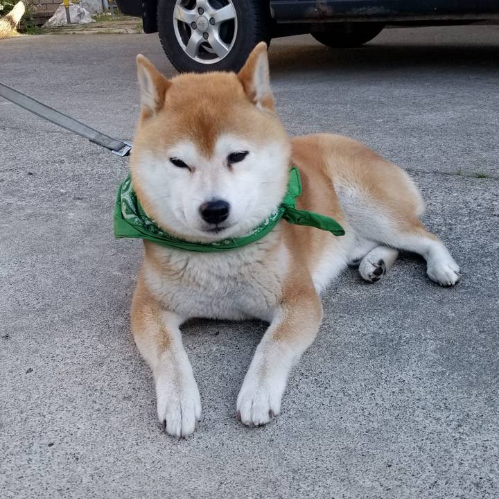 6bca118f ac1e 4c06 be2a 7d7a76ab6d1f 1558512177561