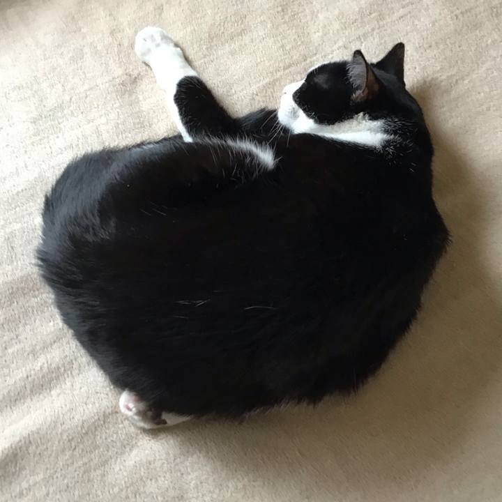 6bca320f fe21 47b8 997a 04d89eb64b0b 1748245642385