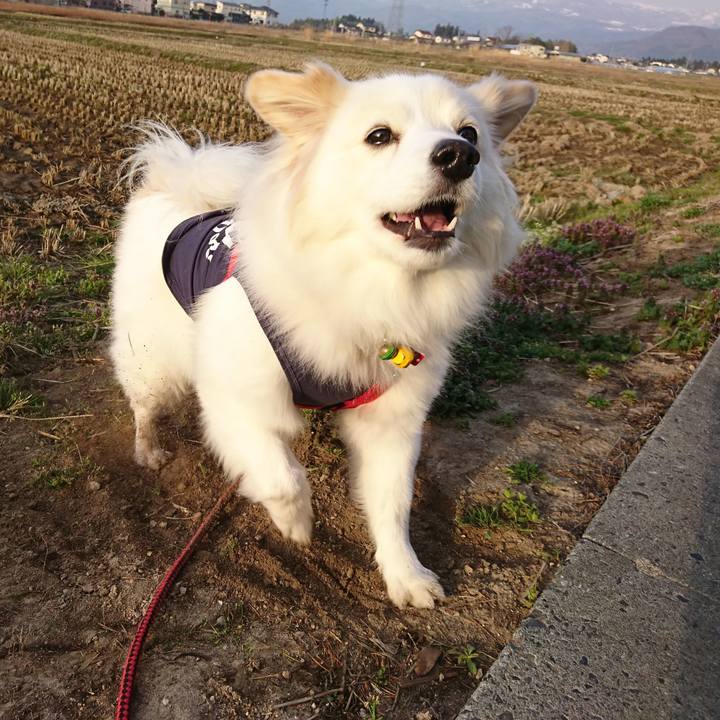 6bca4776 1288 4b44 897f 810c76d52cf0 1522272784186