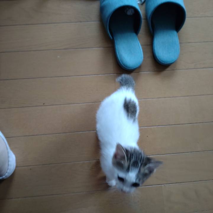 6bca4d3f 7053 4e33 a0a7 8af2c4b0669d 1632910439832