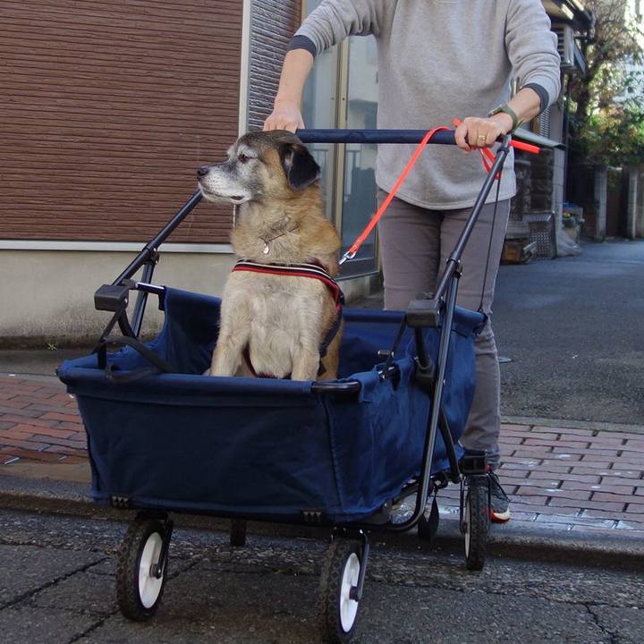 6bca870d 4fa4 41a3 aa41 3c6a4cdc3334 1574123554384