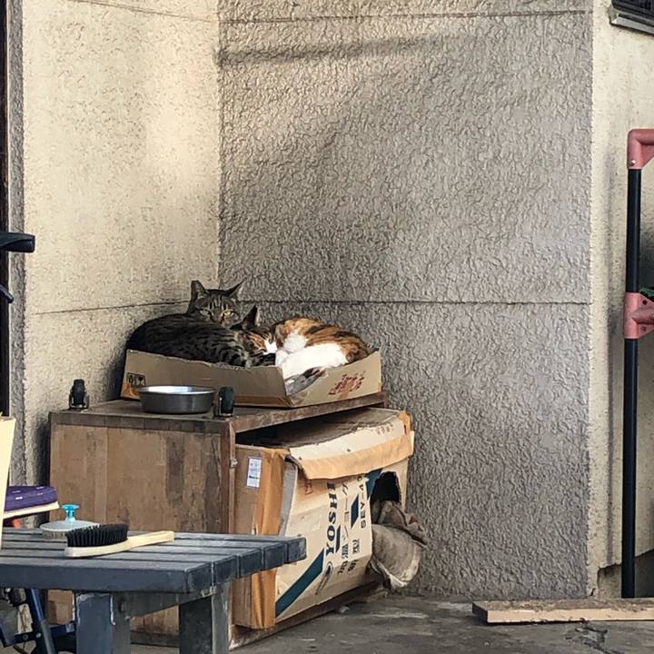 6bcab93c 9ee1 4401 af27 0905cd25505f 1583804430822