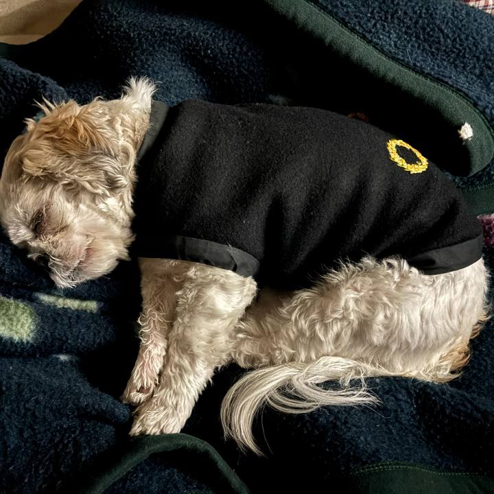 6bcabcb0 52bc 495e ba68 1b8e8cbce057 1764107082526