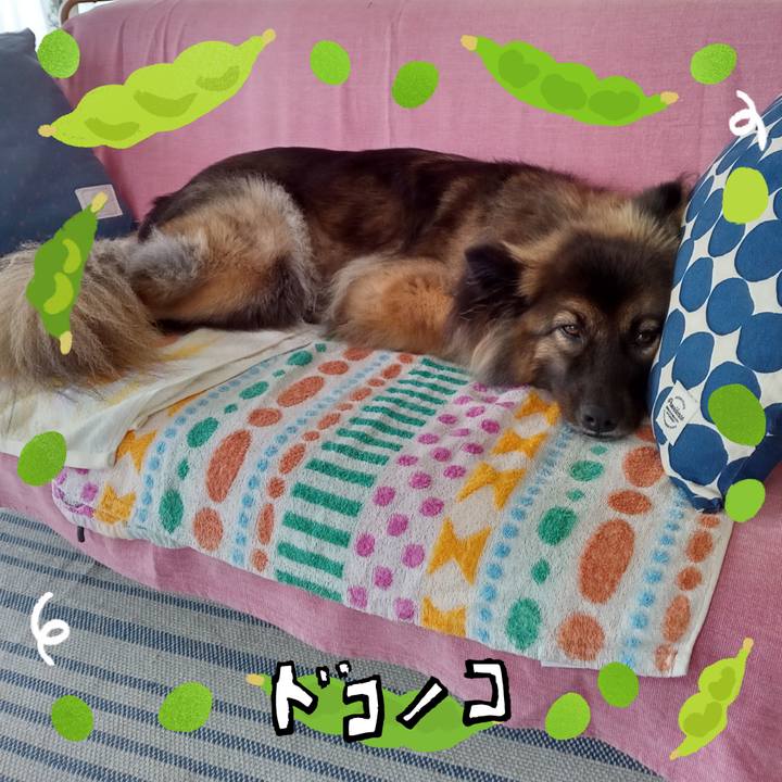 6bcabf2a d464 4769 8c00 7695170d3f32 1721090017285