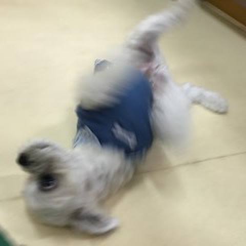 6bcac82f e799 4698 80bf dfdc9c7da21f 1510661147078