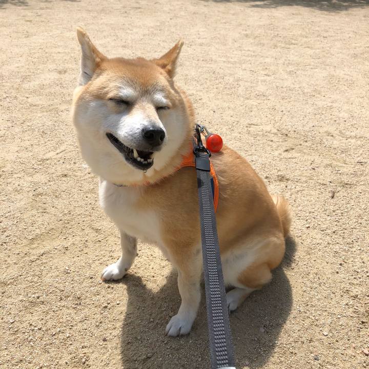 6bcad8f1 c43f 481d bc0d eccbac983caf 1560087421988